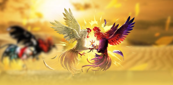 Những điểm nổi bật của đá gà 88 trực tiếp hôm nay tại nhà cái AA888