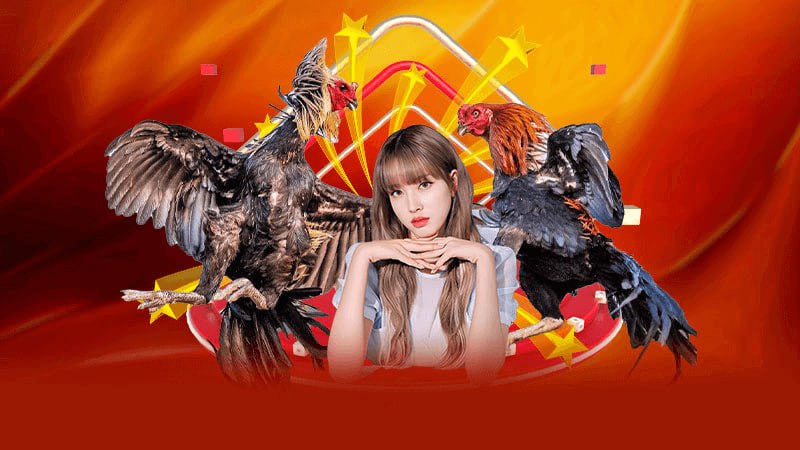 Các Chiến Thuật Hiệu Quả Khi Tham Gia Đá Gà Trực Tuyến