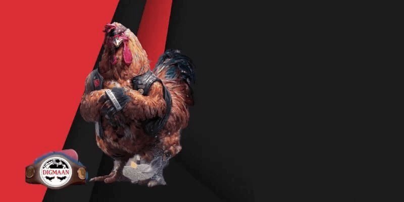 Những Chiến Thuật Chơi Đá Gà Trực Tuyến Tại Nhà Cái AA888 Hiệu Quả Nhất