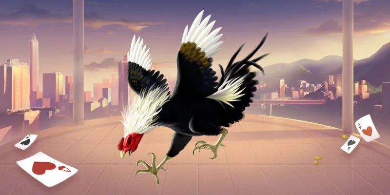 Phân tích các chiến thuật và cách đặt cược hiệu quả khi chơi đá gà Thomo tại nhà cái AA888