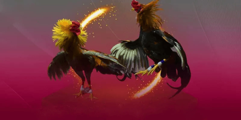 Bí Quyết Hướng Dẫn xem đá gà Thomo tại nhà cái AA88 Không Bị Chặn Mới Nhất 2025