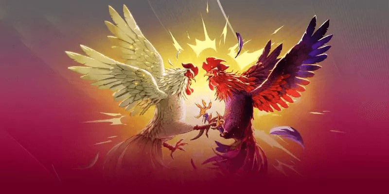 Giới thiệu về nhà cái AA888 và dịch vụ trực tiếp Đá gà Thomo