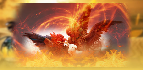 Sức Hấp Dẫn Của Sảnh Đá Gà Trực Tiếp Tại AA888 bet