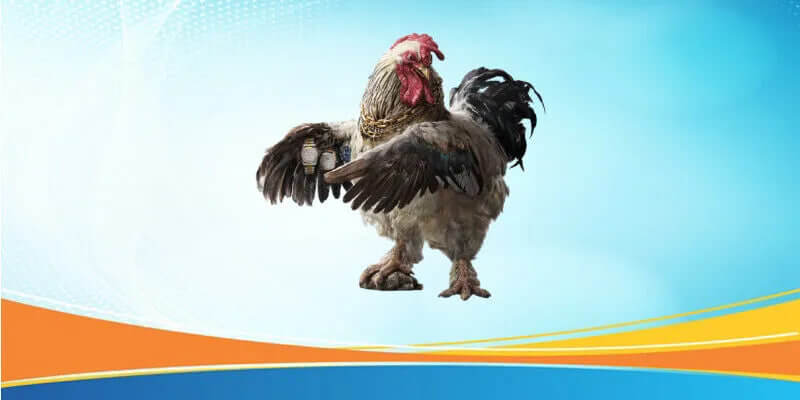 Tại sao nên chọn nhà cái AA888 để tham gia đặt cược