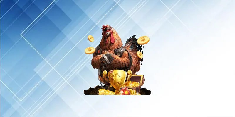 Tổng quan về sức hút của Cá Cược Đá Gà AA888 hiện nay